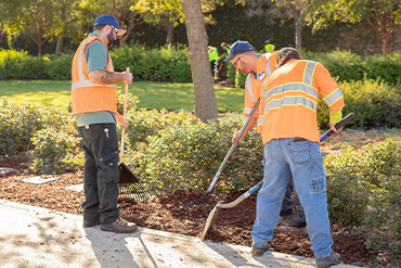 Stunning Landscaping Solutions Stunning Landscaping Solutions